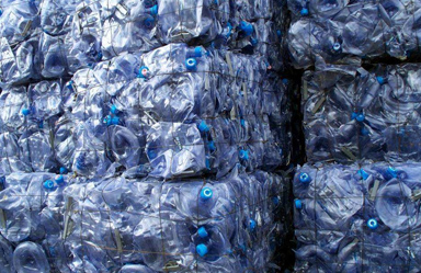 Biodegradation Regeneration Plastics